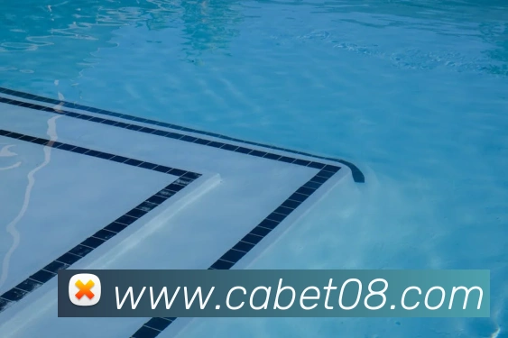 ca亚洲城APP 封面图